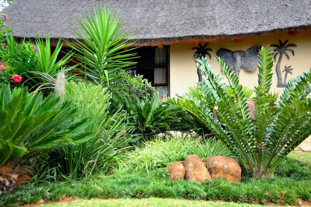Palmwag Tzaneen Ngoại thất bức ảnh